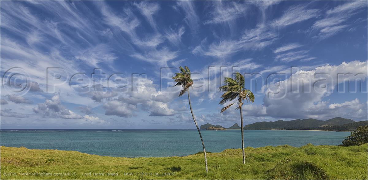 Peter Bellingham Photography Lord Howe Island - NSW T (PBH4 00 11784)
